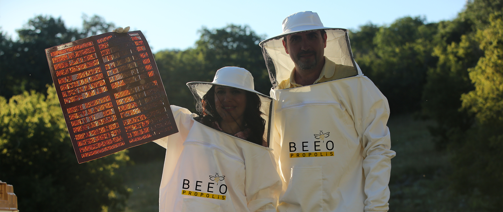 Arı Mucizesi Propolis Damla