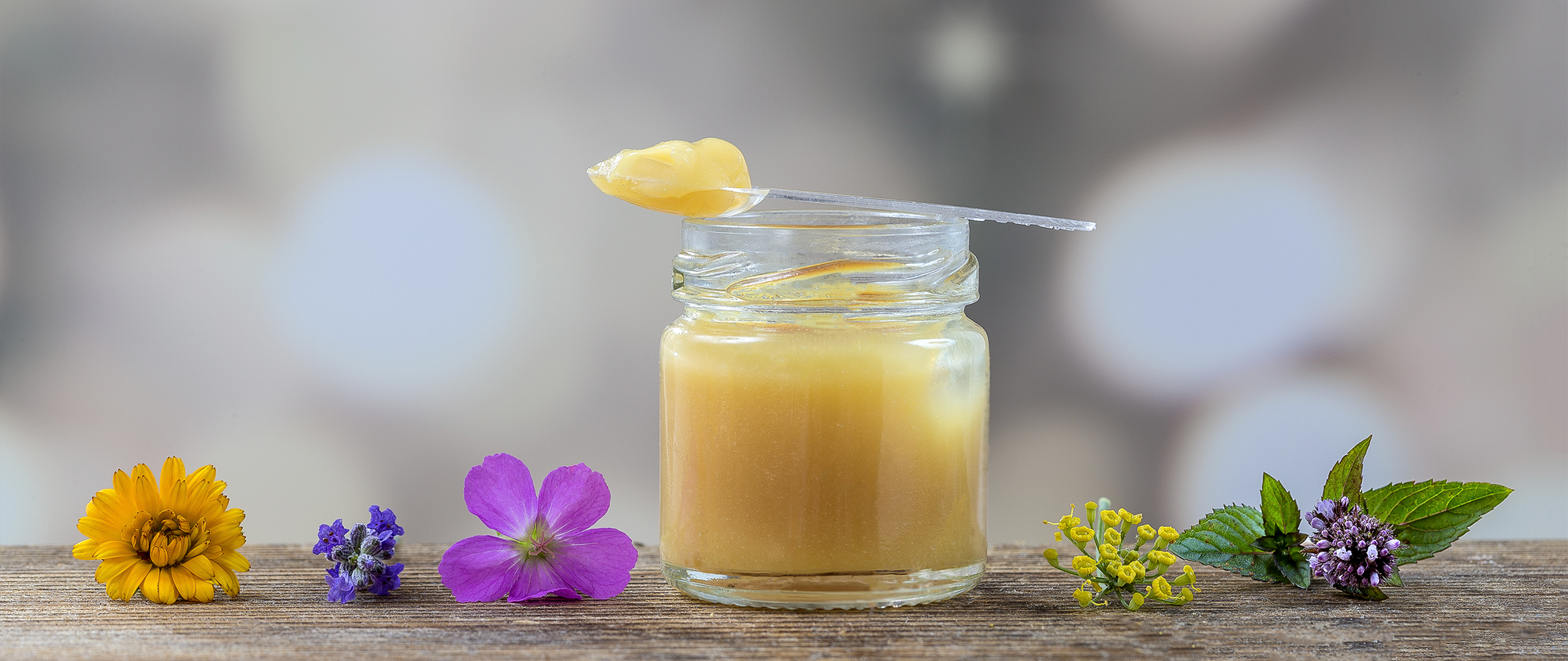 organik taze arı sütü