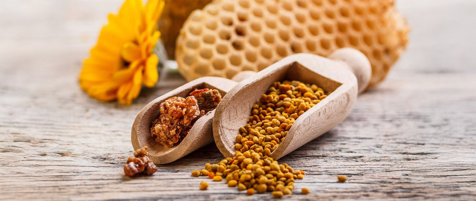 Beslenmeye Katkı Sağlayan Propolis