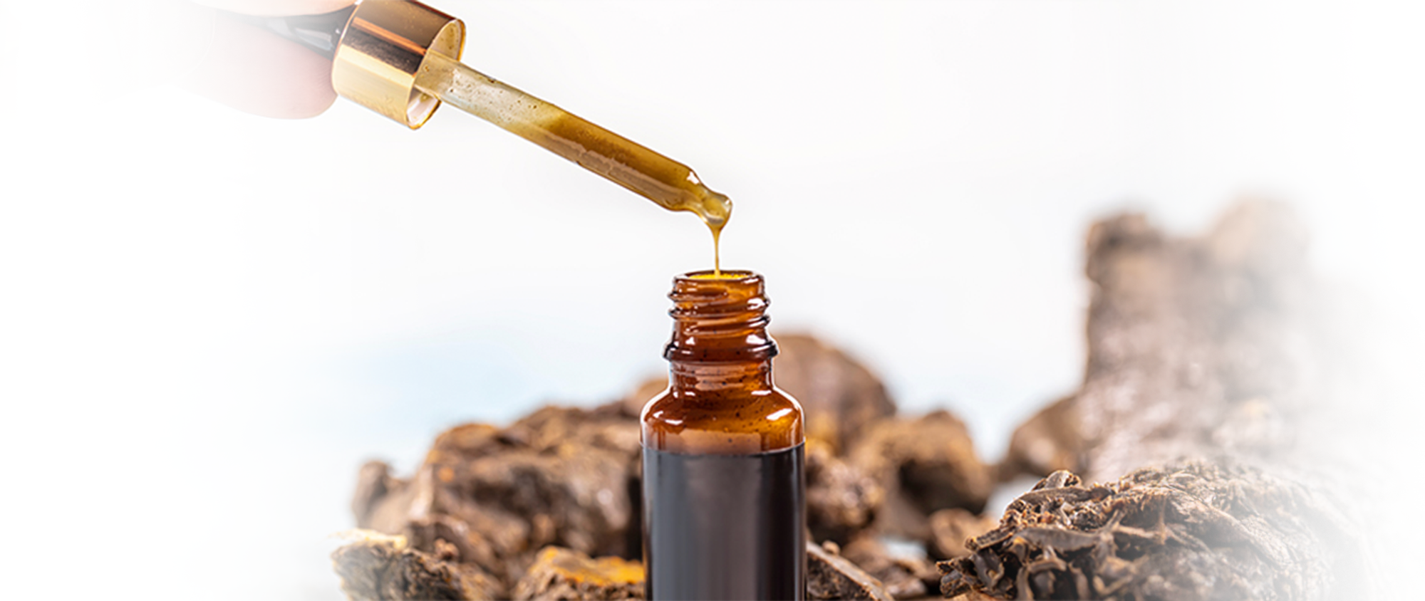 Propolis Damla Nedir