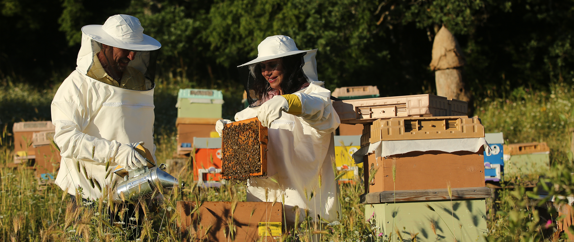 Sürdürülebilir Bir Dünya