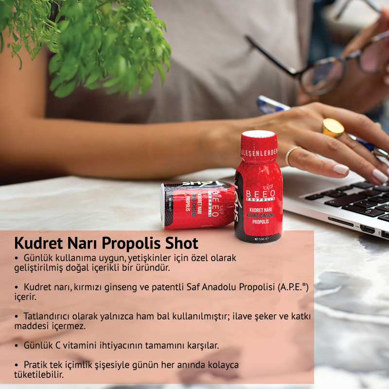 kudret narı shot beeo
