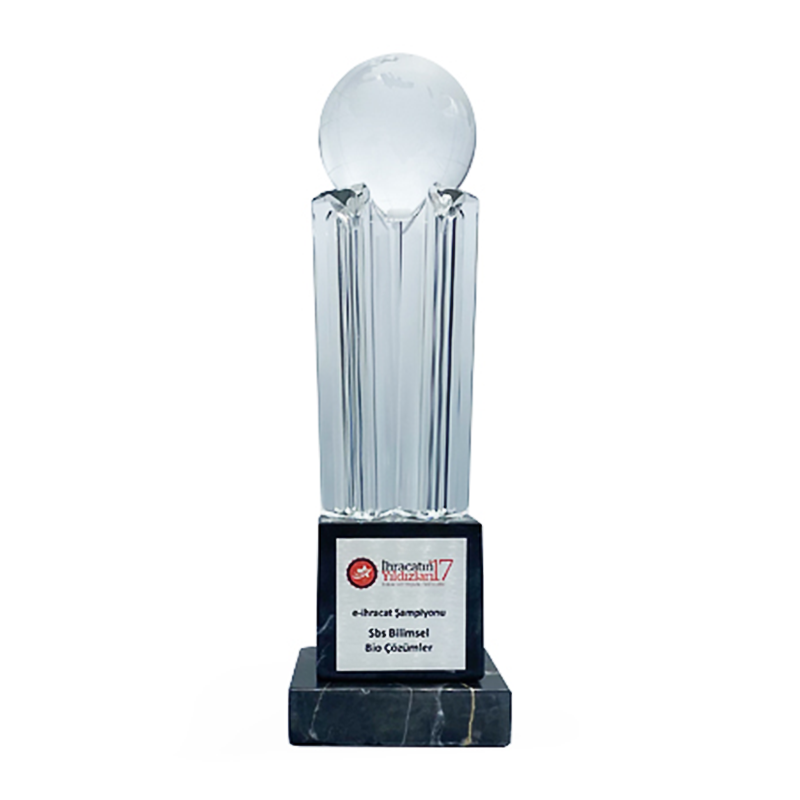 Türkiye İhracatçılar Meclisi - E-İhracat Ödülü