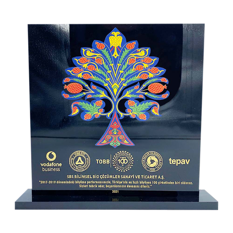 TOBB Türkiye'nin Hızlı Büyüyen Şirketleri (2020)