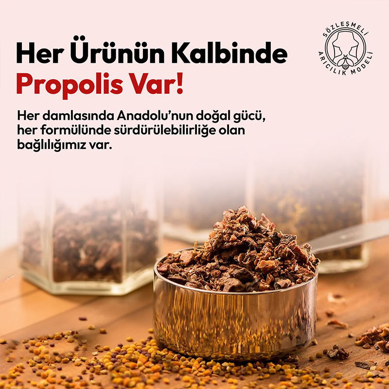 BEEO Kudret Narı Ginseng Propolis Shot 12