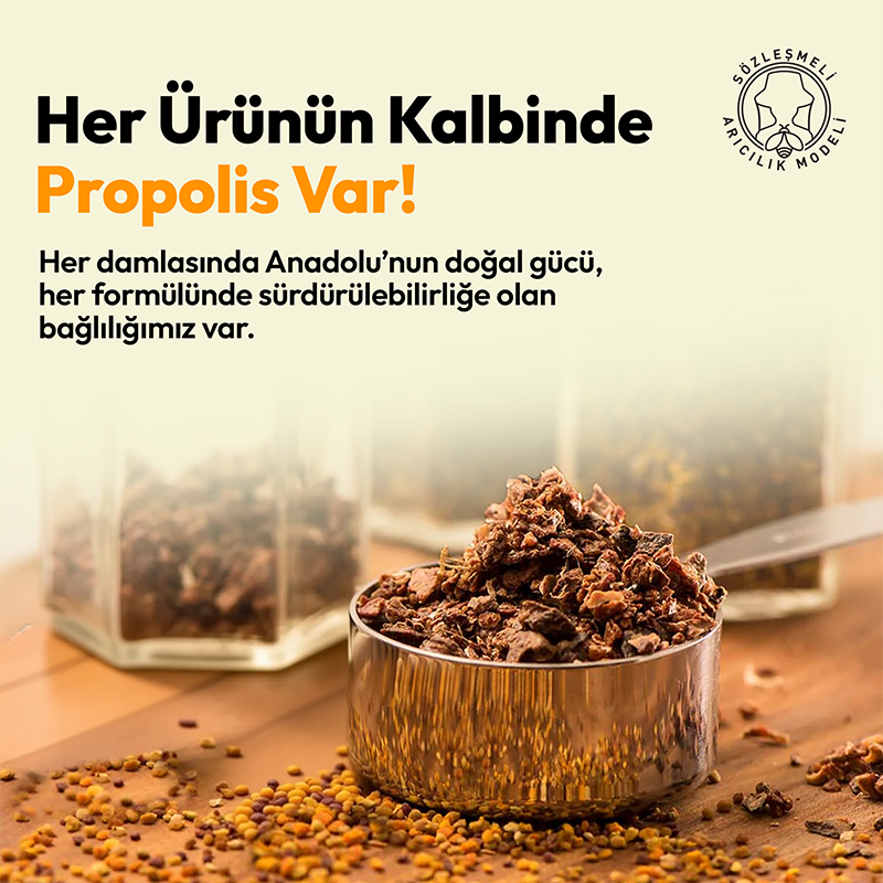 BEEO UP Çinko D3 + C Vitaminli Propolis Shot