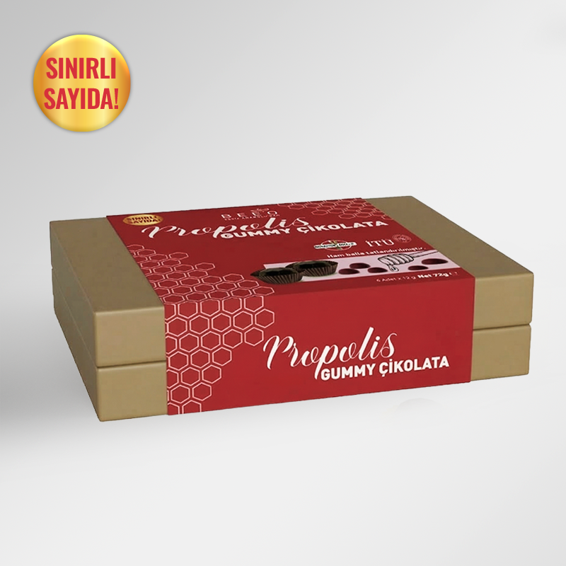 BEEO Gummy Propolis Arı Sütü Ham Bal Dolgulu Çikolata 6'lı