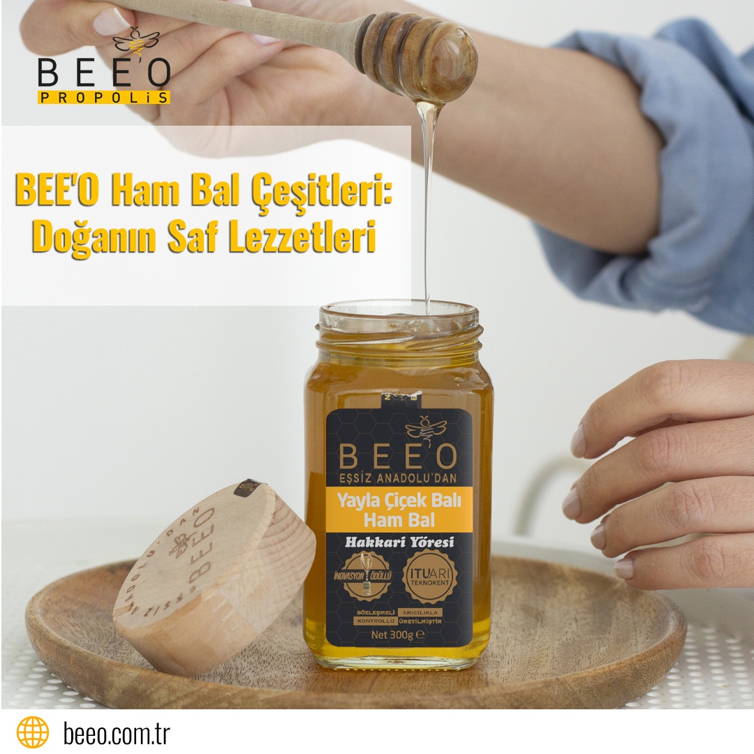 beeo hambal