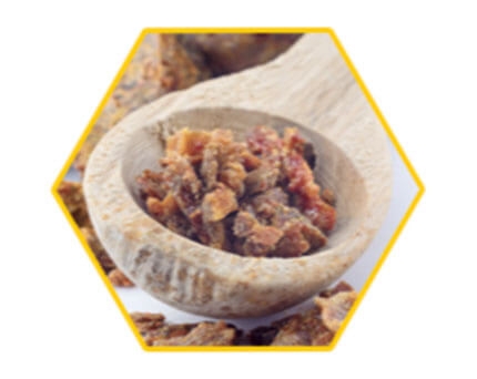 Propolis