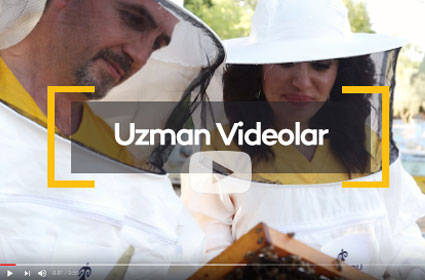 Uzman Videolar