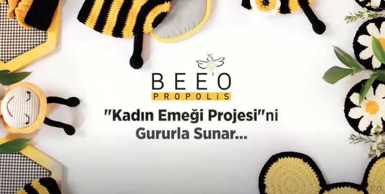 Kadin Emegine Destek Projesi